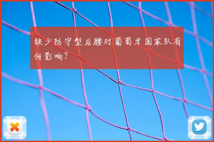 缺少防守型后腰对葡萄牙国家队有何影响？